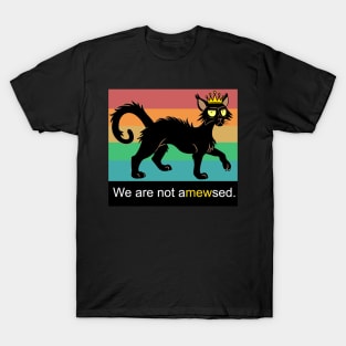 We Are Not Amewsed Black Cat T-Shirt